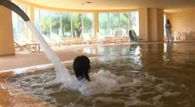 Zephir Hotel & Spa Dzsardzsísz Kültér fotó